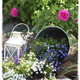 Illustration for article titled 20 Inspiring Flower Planters That Will Bring The Magic Into Your Garden